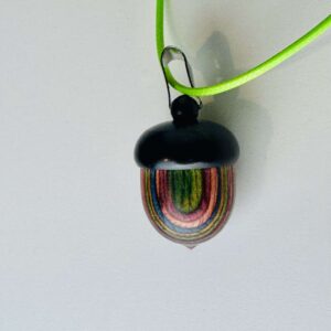 Rainbow acorn locket full of faerie magick